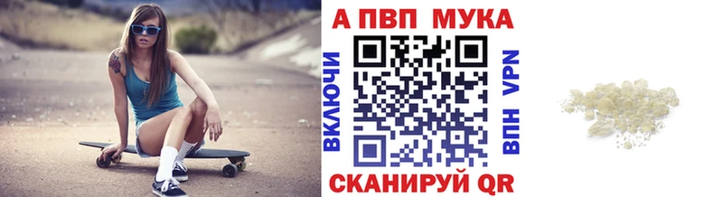 Купить  Бакал  A PVP крисы CK 
