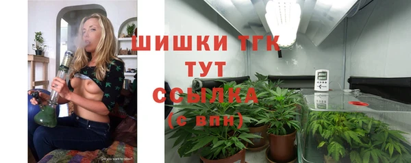 амф Дмитров
