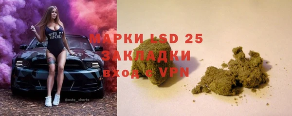 амф Дмитров