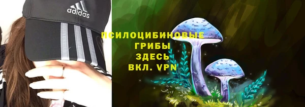 амф Дмитров