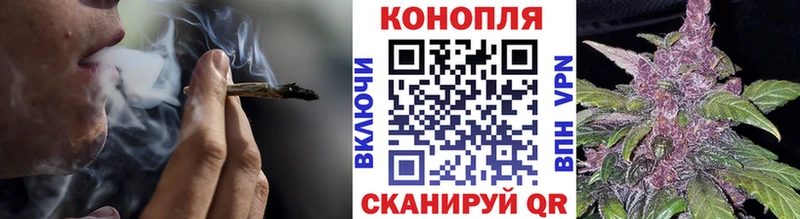 Бошки Шишки сатива  Купить  Бакал 